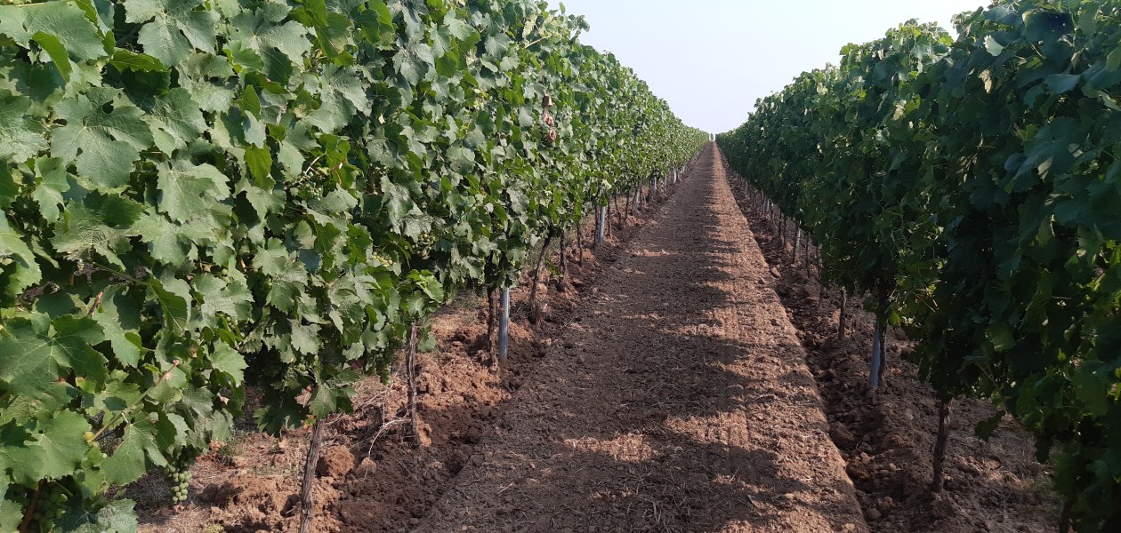 &copy; Weingut Holzm&uuml;hle