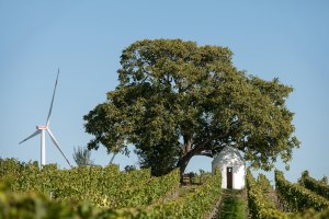 Trullo am Nu&szlig;baum Fl&ouml;rsheim-Dalsheim