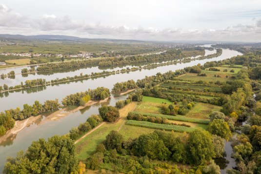 The Rhine floodplains near Ingelheim, © © Dominik Ketz