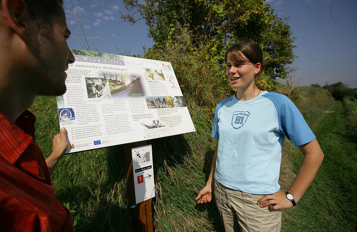 Hohlwege bei Alsheim