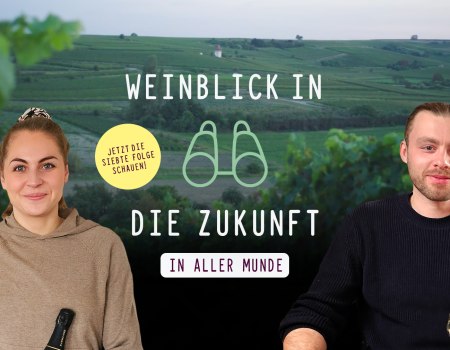 Titel Webserie 7
