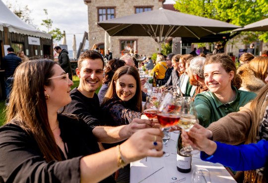 Mehrere Personen sitzen an einer langen Tafel im Freien und sto&szlig;en mit Weingl&auml;sern an. Im Hintergrund sind ein steinernes Geb&auml;ude, Sonnenschirme und weitere G&auml;ste beim Fr&uuml;hlingsfest in Ingelheim zu sehen.