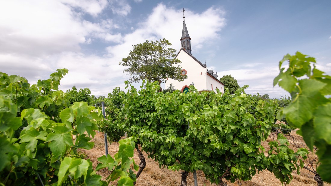 StMichaelsHof_Z6A7656, &copy; St.Michaelshof