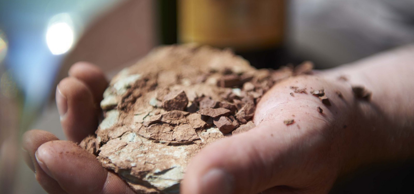 terroir