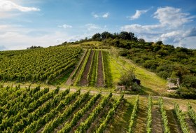 Gau-Odernheimer Herrgottspfad