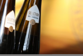 Selection Rheinhessen