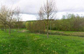 Rastplatz Appenheim-Blick