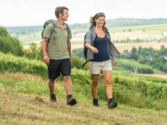 Hiking in Rheinhessen
