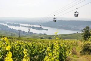 Seilbahn in R&uuml;desheim, &copy; Dominik Ketz / Bingen Tourismus & Kongress GmbH