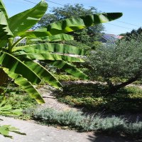 GB-Ferienhaus-6-768x1155