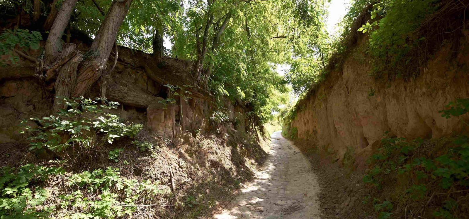 Hohlweg_2