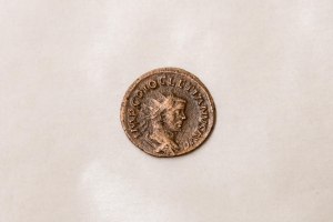 _MG_9427 GaM M&uuml;nze