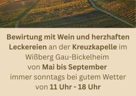 Flyer Wandersommer S.1