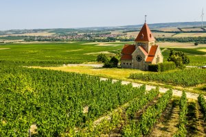 Die Kreuzkapelle von Gau-Bickelheim inmitten der Weinreben mit Blick vom Wi&szlig;berg., &copy; Dominik Ketz