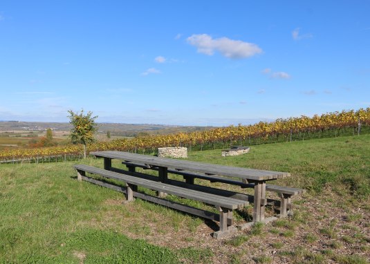 Tisch des Weines &copy; Tourismus GmbH "Im Herzen Rheinhessens"