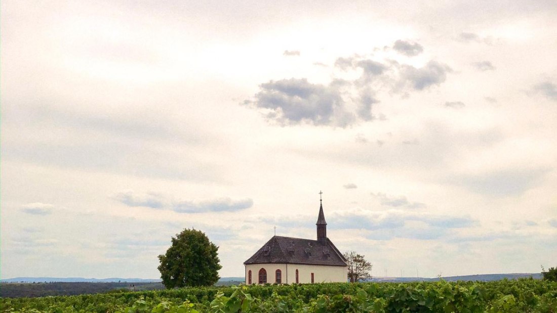 © Weingut Boxheimerhof