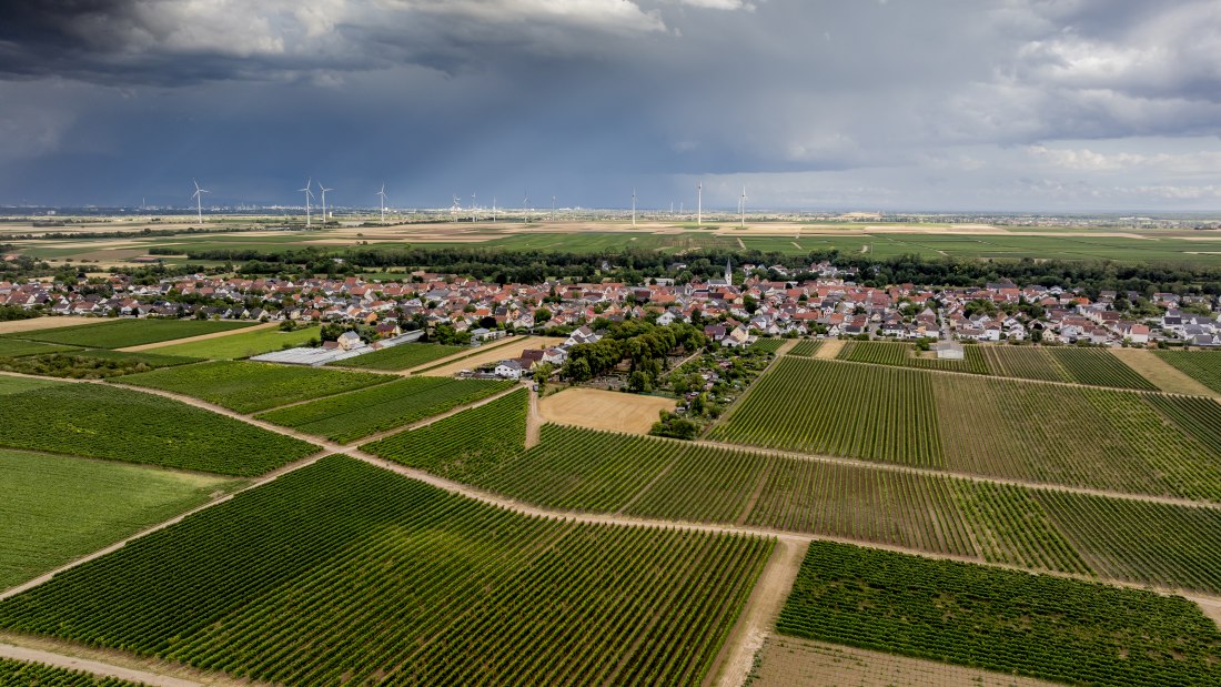 Heppenheimer Affenberg, &copy; Torsten Silz