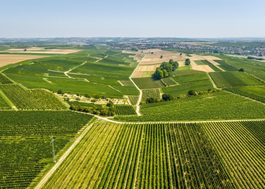 Donnersbergblick &copy; Rheinhessen Touristik GmbH