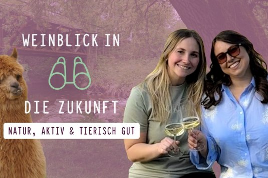 Titelbild Webserie 11