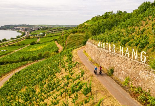 Red Slope in Nierstein, &copy; Dominik Ketz