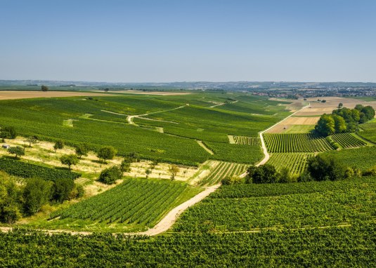 Saulheimer H&ouml;lle &copy; Dominik Ketz - Rheinhessen Touristik GmbH