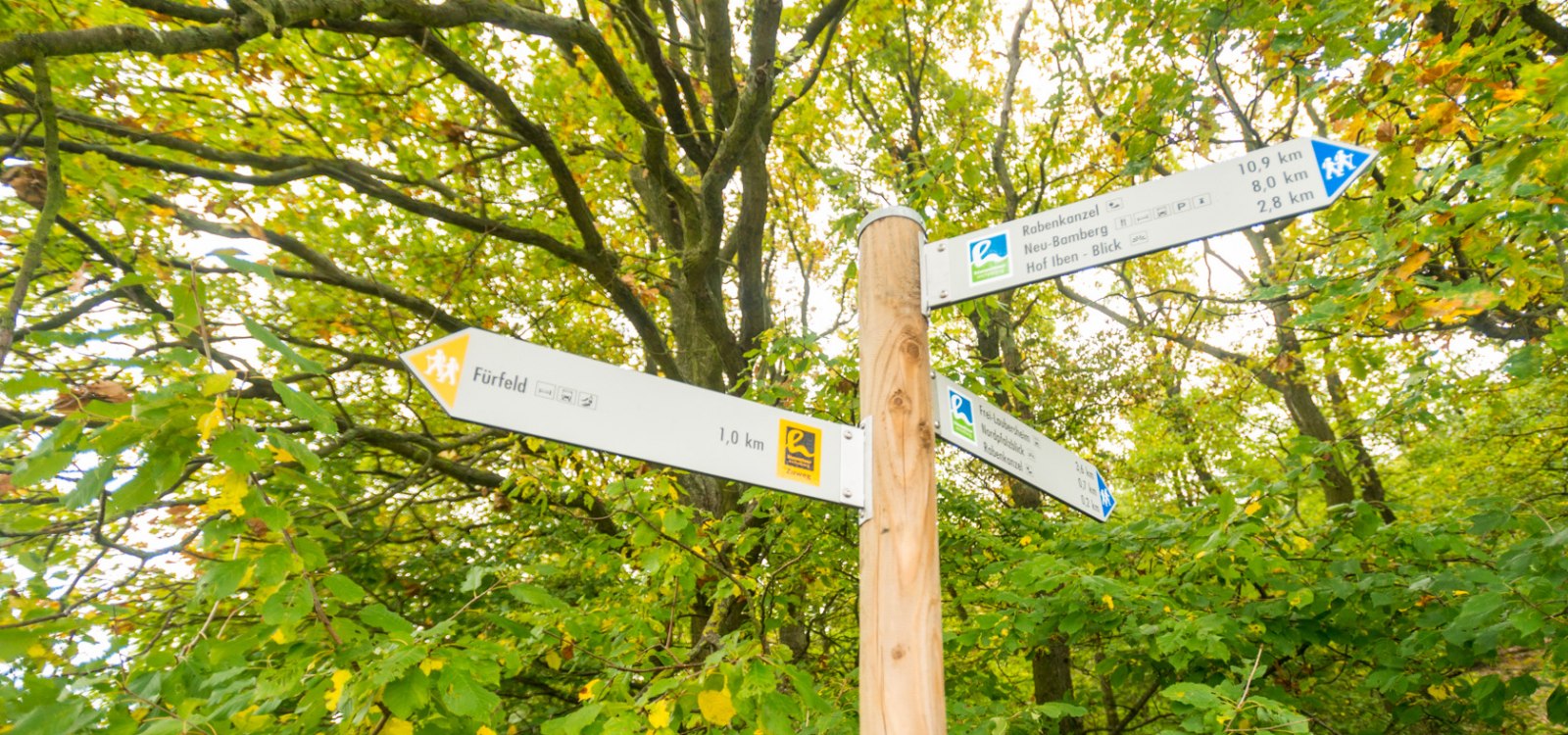 Beschilderung an der Hiwweltour Eichelberg, © Dominik Ketz