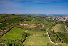 Guntersblumer Himmelthal