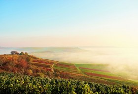 Autumn impression &copy; Robert Dieth