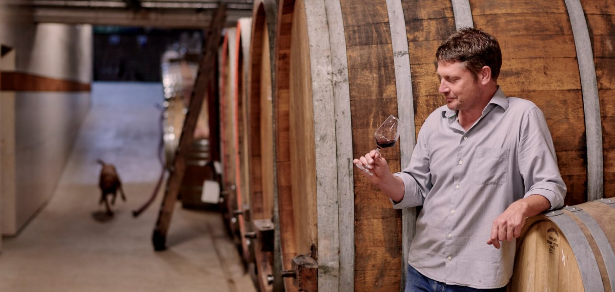 &copy; Weingut Sander