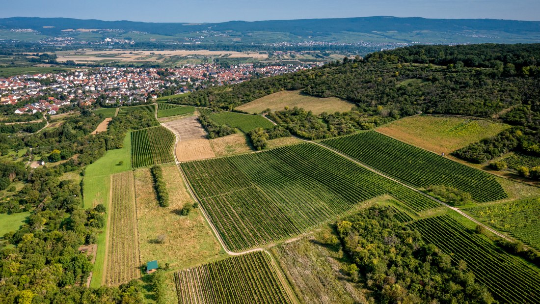 Gau-Algesheimer Goldberg