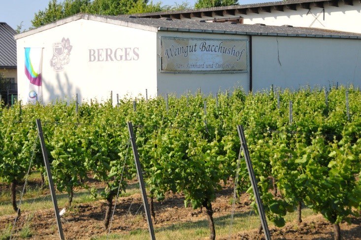&copy; Weingut Bacchushof