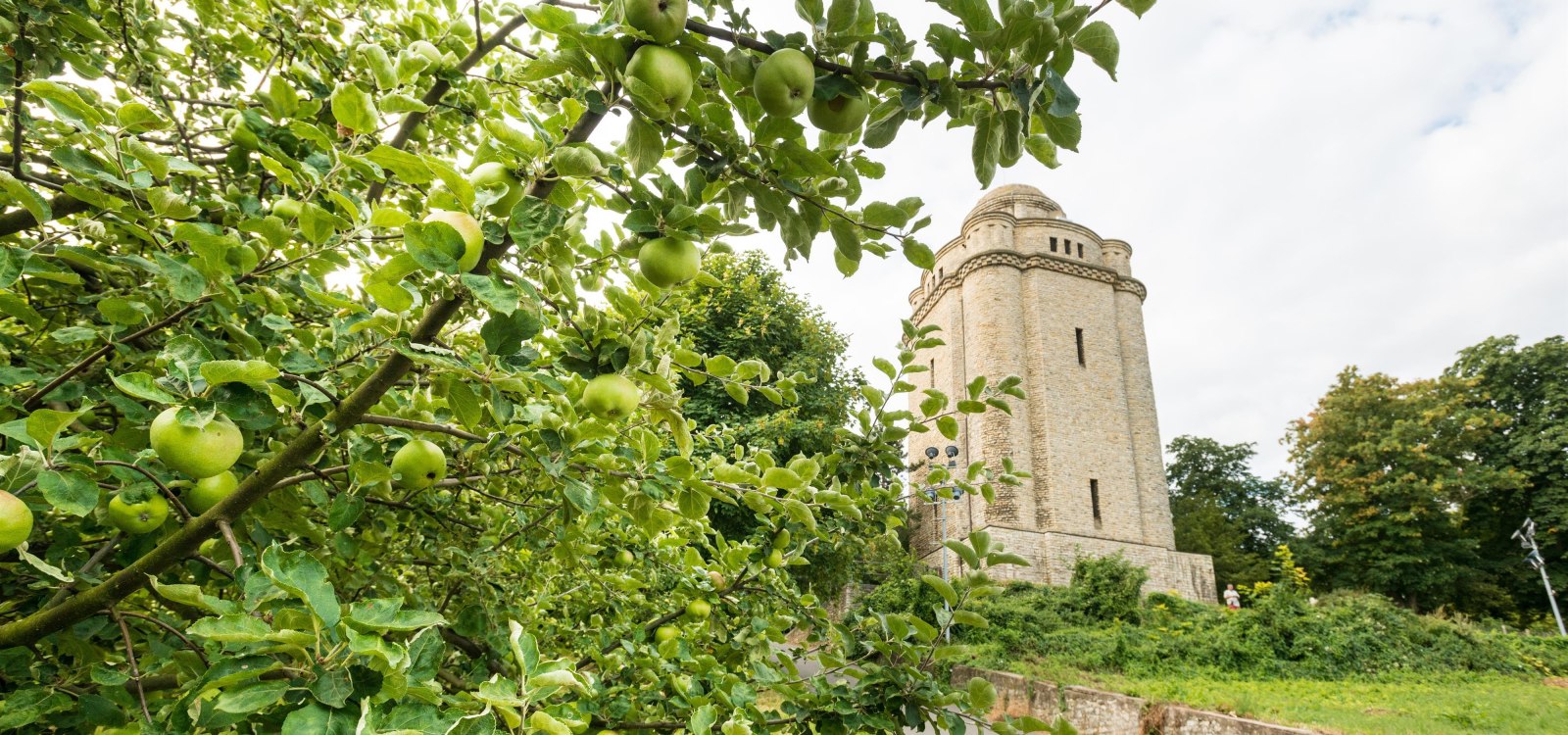 Bismarckturm Ingelheim, &copy; Dominik Ketz