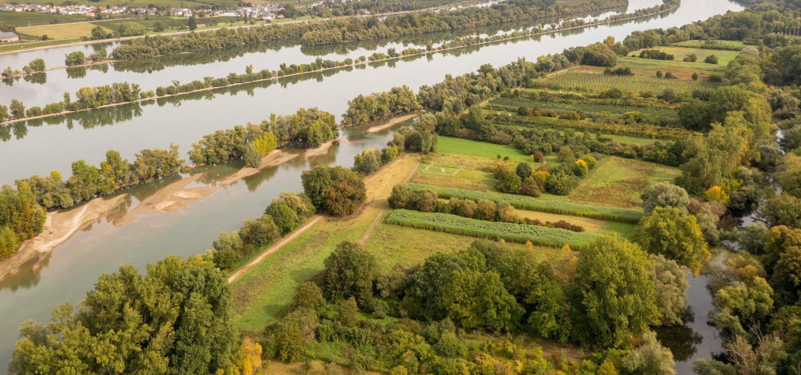 The Rhine floodplains near Ingelheim, &copy; &copy; Dominik Ketz