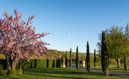 nierstein-womoplatz-gehring-4