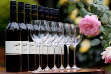 beak, &copy; Weingut Schnabel