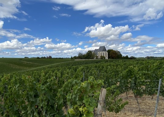 Udenheimer Wanderung &copy; Guido Borowski