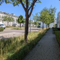 Adam-Allendorf-Weg