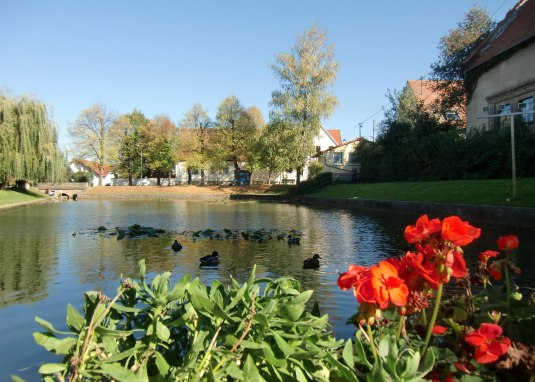 Woog &copy; VG Monsheim
