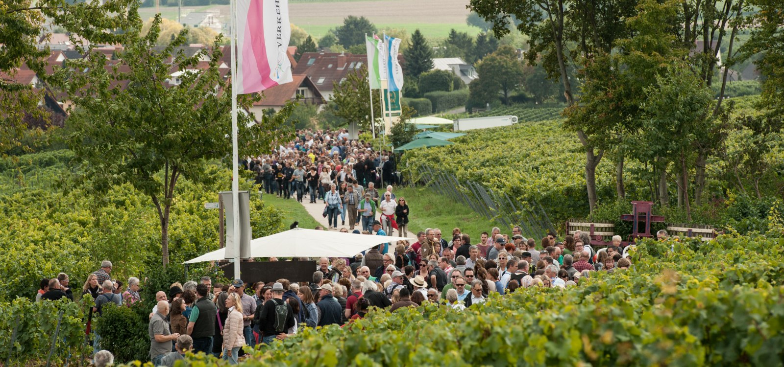 Weinprobe Bodenheim, &copy; Rheinhessenwein e.V., Martin K&auml;mper