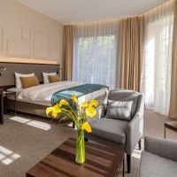 Junior Suite - Guest rooms