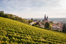 Rheinhessen - Oppenheim &copy; Dominik Ketz/Rheinhessen-Touristik GmbH