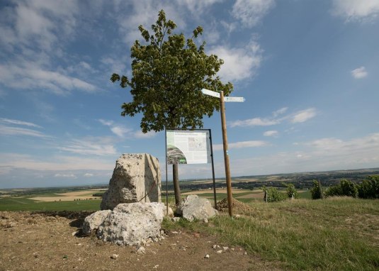 Letzte Betonreste der Selzstellung © Dominik Ketz