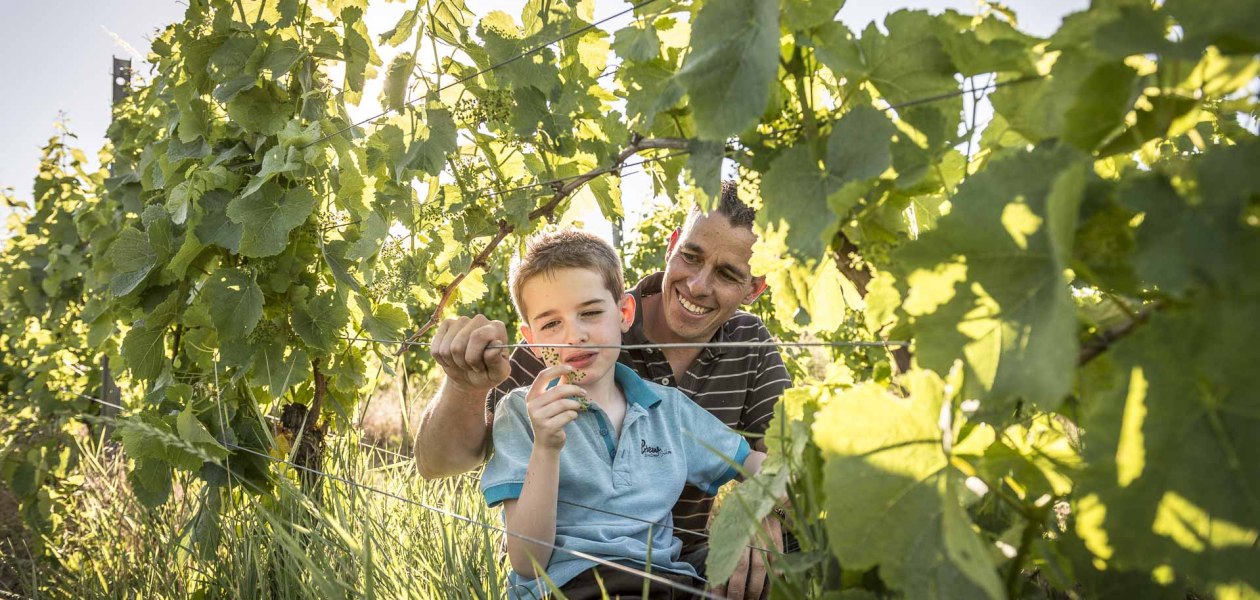 Weingut Grosch_Winzer 2, &copy; Weingut Grosch
