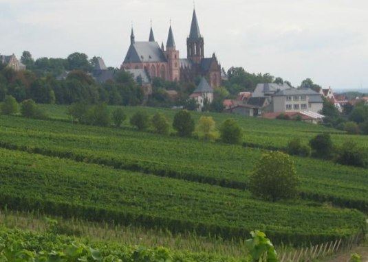 Weinberge &copy; Weingut Dr. Dahlem