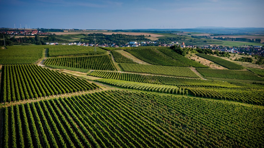 Sulzheimer Schildberg