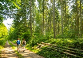 Hiwweltour Vorholz 1