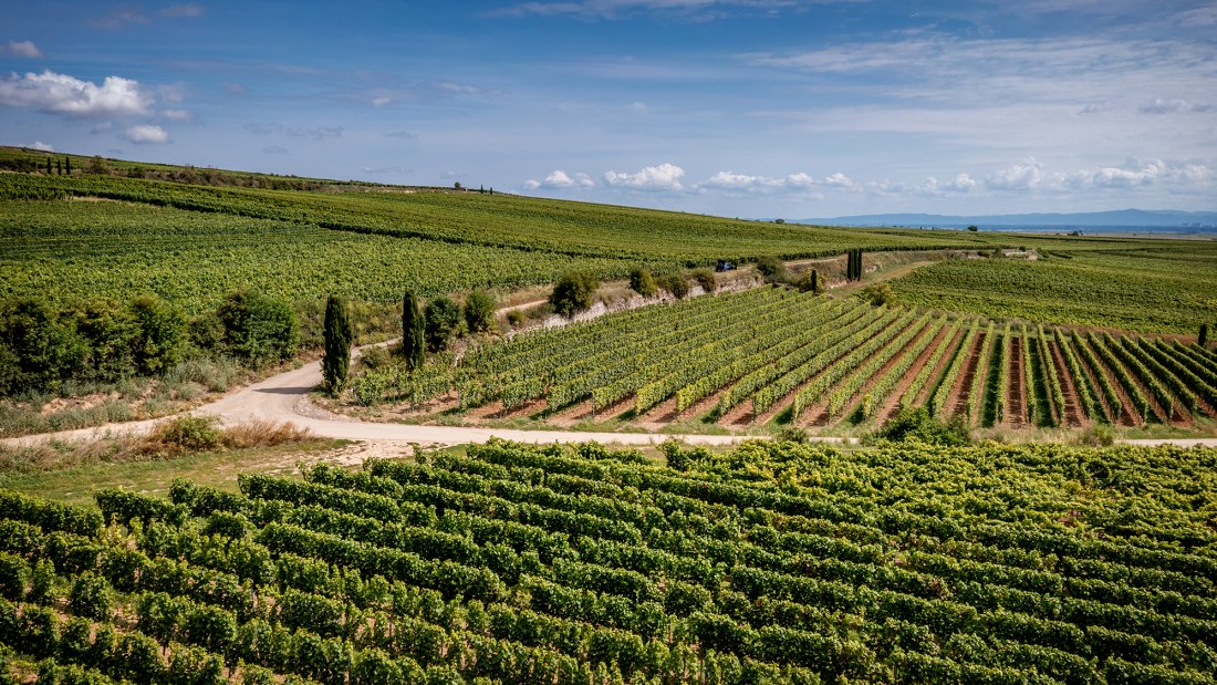 Westhofener Brunnenhäuschen