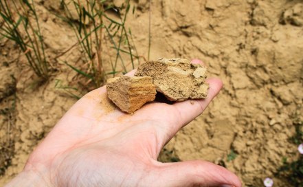 kalksandstein-bodenprofil