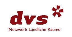 DVS LOGO