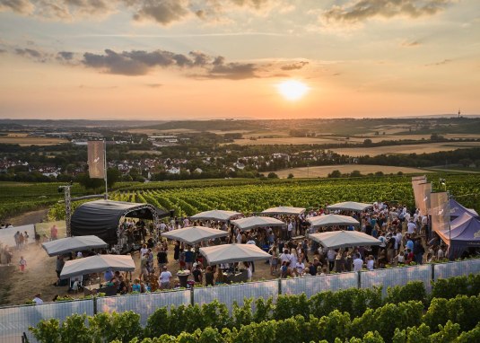 Panorama-Picknick &copy; Weingut Bischofsm&uuml;hle
